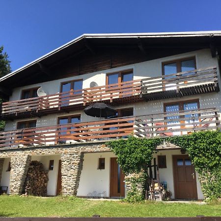 Apartmán U Sjezdovky Železná Ruda Kültér fotó